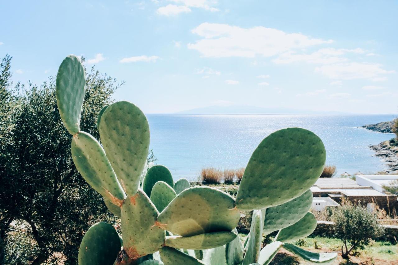 The Elaia House Mykonos Vila Ornos  Exterior foto