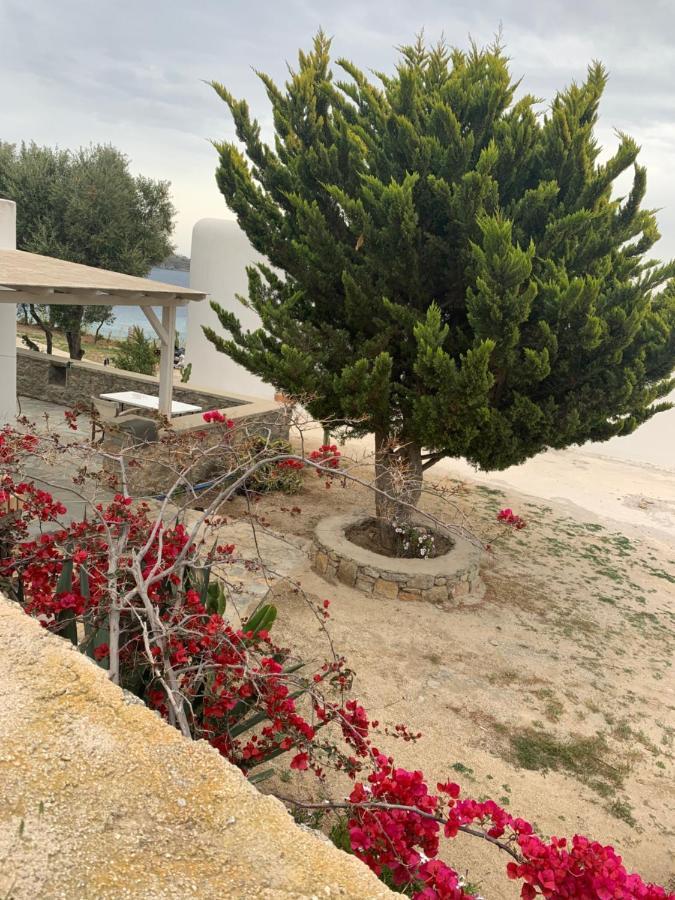 The Elaia House Mykonos Vila Ornos  Exterior foto